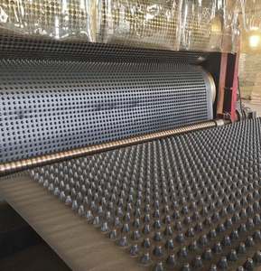 Tapis de drainage en plastique HDPE/tapis de drainage en plastique 30mm pour le drainage du jardin et la protection des murs - Product Image 3