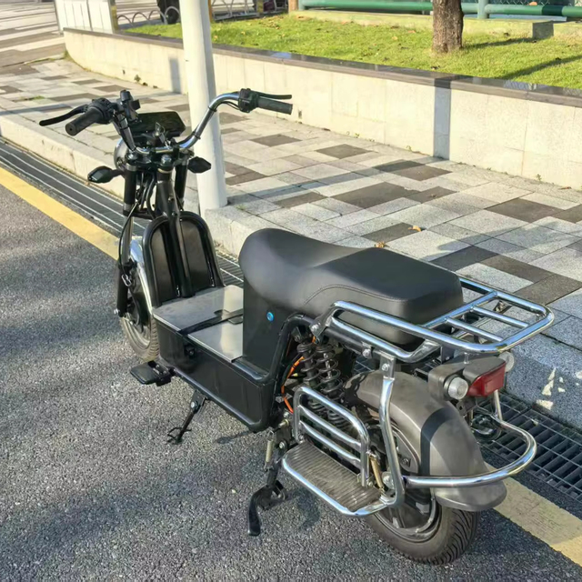 Powerful 1500W 70V Electric Cargo Bike with Steel Frame 200kg Capacity Disc Brake 55km/h for Heavy-Duty Transport E-bicycle