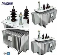 Transformateur de distribution de puissance triphasé immergé dans l'huile, norme IEC 50HZ 6kV 10kV