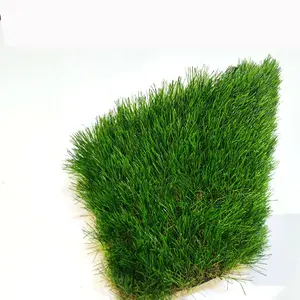 suppliers ccgrass artificial grass