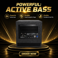 Système audio subwoofer haute résolution ODM/OEM, enceintes actives professionnelles de 8 pouces, système de sonorisation en ligne