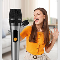Haut-parleur karaoké portable professionnel avec microphone filaire Sortie d'usine de caisson de basses BT sans fil en plastique durable
