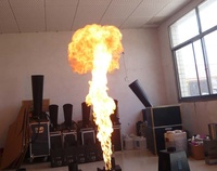 Machine DMX 512 d'Éclairage d'Équipement de Fête Effet Feu Artificiel, Lanceur de Jet de Couleur, Mini Projecteur de Flammes pour Scène de Concert Disco DJ