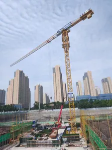 Grúas Torre usadas 10t 6515-10 pluma de 65 metros a la venta en Singapur