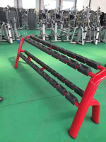 Support de rangement double pour haltères ASM-T1033 de haute qualité à deux niveaux, équipement de gym, pour 10 paires d'haltères
