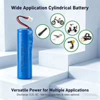 Batterie cylindrique au lithium CSIP 1S1P personnalisée 2000mAh~3500mAh Connecteurs XH2.54 3P 3.6V 3200mAh 3500mAh Akku Batterie 18650