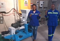 Drum Pinda Popcorn Frietjes Gebakken Voedsel Aardappelchips Snacks Kruidenmachine Achthoekige Pinda-Smaakstof Coatingmachine
