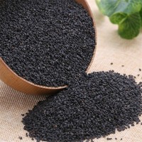 Vente en gros de graines de sésame noir pur Produit agricole Sésame noir naturel prêt pour l'expédition