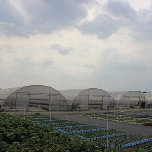 <span class=keywords><strong>Invernadero</strong></span> Agrícola de Plástico de Alta Calidad, Invernaderos Victorianos, Fabricante Chino, <span class=keywords><strong>Invernadero</strong></span> Completo Personalizable - Product Image 2