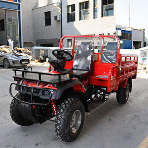 Летняя распродажа: Высококачественный большой грузовой трицикл-багги для доставки грузов - Product Image 1