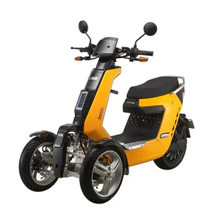 V28 EEC Electric Passenger Tricycle 2000W 3000W Reverse Three Wheels Scooter MLS Balance System