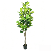 Pohon Fiddle Leaf Fig dengan Detail Bunga yang Konsisten Memberikan Tampilan Terpadu di Berbagai Lokasi Proyek