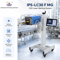 Impresora de Codificación Láser de CO2 de Alto Rendimiento IPS-LC30 F MG con Posicionamiento de Luz Roja para Códigos de Producción