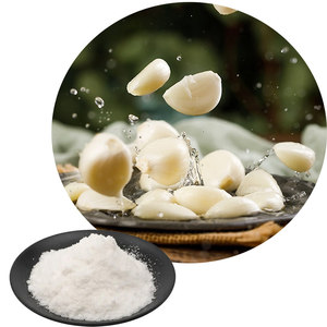 Polvo de <span class=keywords><strong>Ajo</strong></span> Natural, Saborizante y Aromatizante para Alimentos, Polvo de Alta Pureza para Sazonar y Alimentos Procesados - Product Image 5