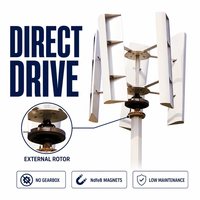 Éolienne à axe vertical GWH-500W, démarrage à faible vitesse de vent (2 m/s), fonctionnement silencieux, générateur d'énergie renouvelable VAWT 500W