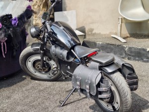 Kit de conversion de vélo électrique pour <span class=keywords><strong>Kite</strong></span>-Bike avec pédales, moteur à moyeu arrière, longue portée, haute vitesse 1500W/3000W - Product Image 5