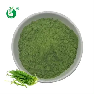 Pincredit Wholesale Price Organic Barley Grass Juice Powder In Sachets