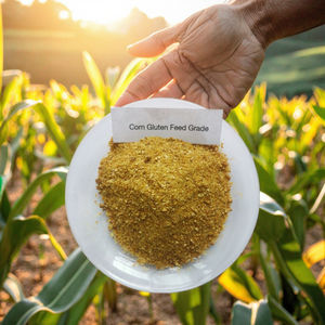 מכירה חמה של מזון בקר כבשים לגידול בריא גידול חלבון גבוה חלבון תירס - Product Image 4