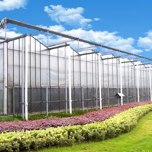 Agricultural Greenhouses 2022 Hot Sale Greenhouse Polycarbonate Greenhouse Structure For Sale