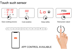Oem/ODM 3000W 2 Burner được xây dựng trong nồi gốm với cảm biến điều khiển cảm ứng năng lượng mặt trời-Powered Thiết bị nhà bếp cho hộ gia đình sử dụng - Product Image 4