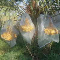 80X100Cm Fruitnetzak Vruchtenbescherming Palmdadelgaaszakken Voor Omhulsel Bananen