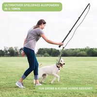 Queue de poursuite interactive de haute qualité OEM personnalisé vente chaude pôle télescopique pour chien Teaser