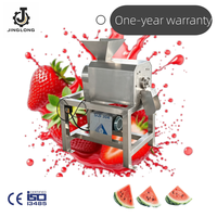 Industriële zware commerciële koude pers mango-tomaat-citroen sapcentrifuge automatische machine voor gember