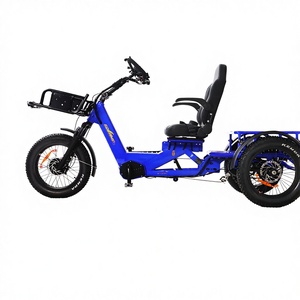 Triciclo para Adultos con Llantas Gruesas de 20 Pulgadas, Triciclo Todoterreno para Personas Mayores, Marco de Aleación de Aluminio, Frenos de Disco, Estabilidad en la Nieve e Invierno para Personas Mayores - Product Image 1