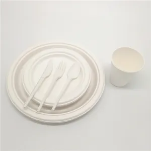 300pcs Biodegradable Disposable Dinnerware Set, Sugarcane Plates And Cups, Compostable CPLA Cutlery