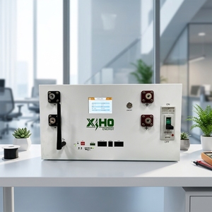 Batería de Litio de Alta Resistencia de 16 kWh, 51.2V 48V 280Ah, para Vehículos de Pasajeros de Alto Rendimiento - Product Image 3