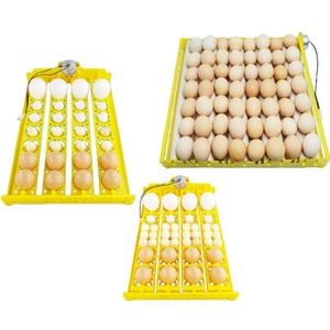 Incubateur entièrement <span class=keywords><strong>automatique</strong></span> compact, <span class=keywords><strong>fiable</strong></span> et durable, pour plateaux d'œufs de poulet, de canard et de caille, en matériau PP - Product Image 2