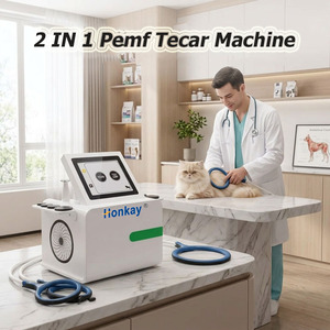 Appareil de magnétothérapie Tecar portable, directement de l'usine, pour prévenir les blessures sportives, appareil de magnétothérapie Tecar PEMF pour chevaux - Product Image 1