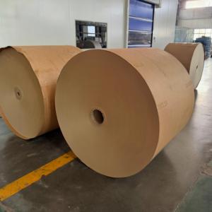 Rouleau de papier enduit PE, pâte vierge 320 g/m², écologique, imperméable, taille personnalisée, pour la fabrication de gobelets en papier (matière première) - Product Image 2