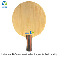 Raquette de tennis de table personnalisée OEM/ODM avec logo, construction à couches sandwich PMI, équipement professionnel de ping-pong, découpe en carbone