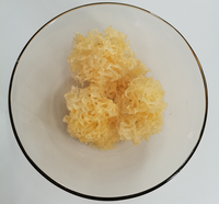 Champignons comestibles de Chine en gros Tremella Fuciformis champignons argentés champignons blancs séchés pour la nourriture