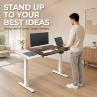 AOR Electric Lift Desk-Office/Computer/E-Sports Desk Split Board Design Extendable Customizable Color Wood Surface Metal Frame