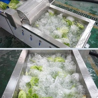 Fengxiang WA-1000 RVS Sla- en Babybladwasmachine Ozon Luchtbel Trommel 1000-1500KG/H Capaciteit CE