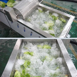 Machine à laver les feuilles de laitue WA-1000 avec ozone, bulles d'air et tambour - Product Image 2