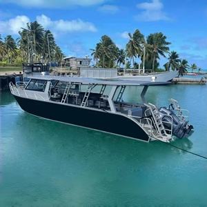 Bateau de pêche en aluminium Gospel Boat 11,6 m / 38 pieds pour la plongée, l'observation des baleines et le tourisme - Product Image 1