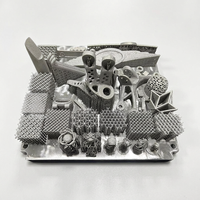 Pengerjaan Logam Baja Tahan Karat Paduan Aluminium/Titanium Layanan Pencetakan 3D Pemesinan CNC Teknologi SLM Prototipe Digital