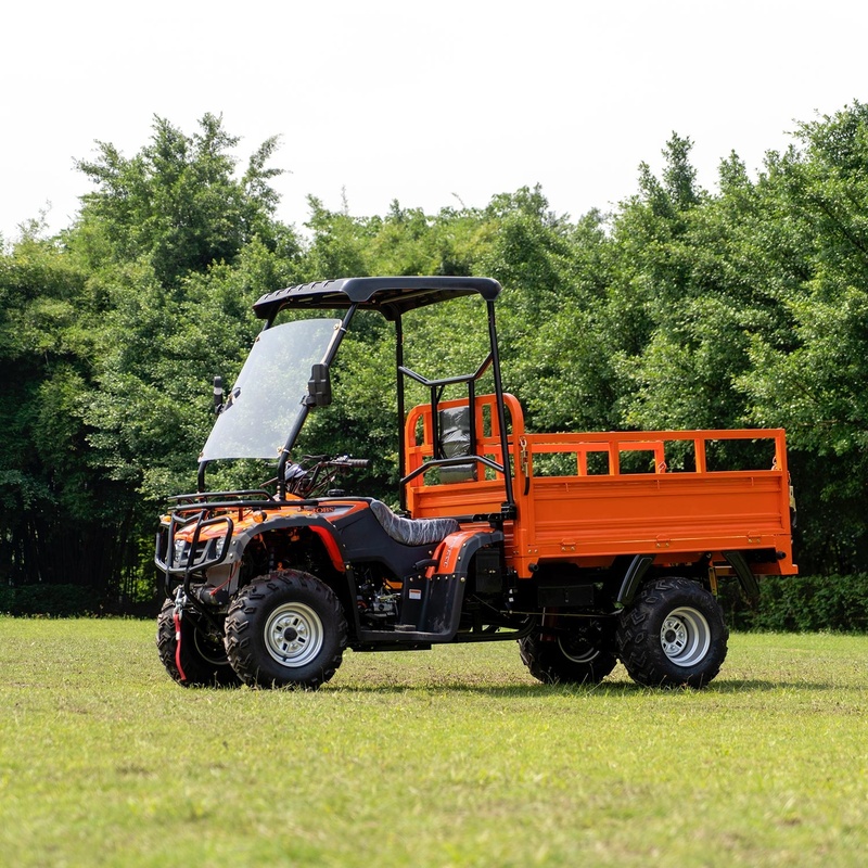 Wholesale 250 300CC 4x4 All terrain