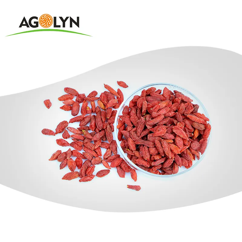 De calidad superior Ningxia al por mayor de Wolfberry seco rojo baya de Goji