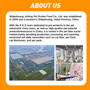 Du Lịch Di Động Chuyến Bay Tàu Sân Bay Đã Được Phê Duyệt Cat & Dog Chuyến Bay Trường Hợp Crate Ngoài Trời Dog & Cat Lồng Pet Tàu Sân Bay Nhựa Tốt Nhất Bán - Product Image 2