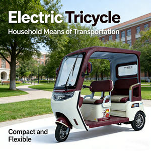 <span class=keywords><strong>Tricycle</strong></span> électrique 60V à bas prix, 650W, pour adultes d'âge moyen et personnes âgées, design élégant, scooter électrique - Product Image 5
