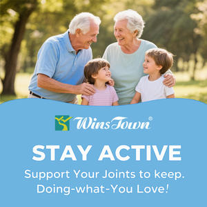 Santé Osseuse Glucosamine Chondroïtine Msm Capsules Force des articulations Supplément végétal à base de plantes Cartilage Pilules de mobilité des articulations - Product Image 5