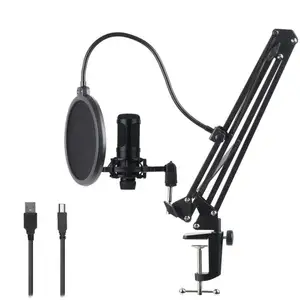 Brand New Korea Condenser Microphone With High Quality Korea Condenser Microphone