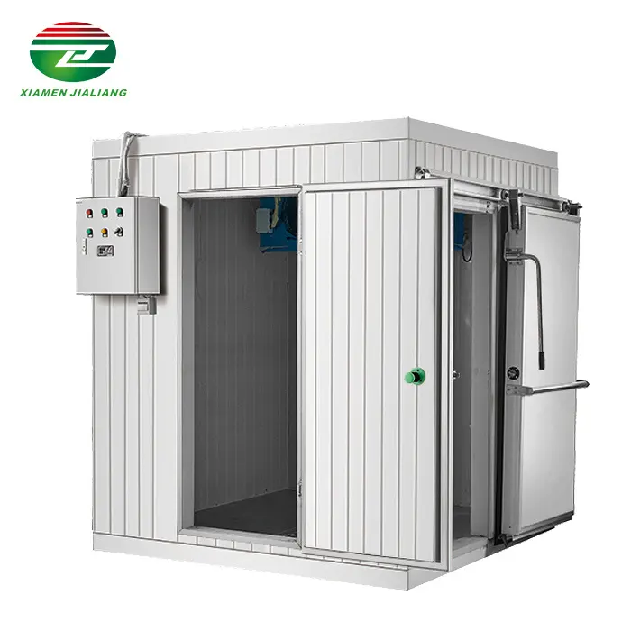 Chất Lượng Tốt Bitzer Máy Nén Thương Mại Cá Gà Phòng Lạnh Xách Tay Mini Phòng Lạnh