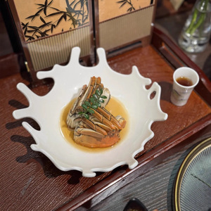 Plato para Vegetales Color <span class=keywords><strong>Coral</strong></span>, Apto para Uso en Hogares, Hoteles y Restaurantes, Ideal como Vajilla Formal para Frutas y Ensaladas - Product Image 3