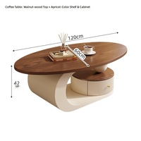 Ensemble de table basse et table d'appoint ovales vintage Tenghang, 2 pièces avec tiroir de rangement, meubles de salon