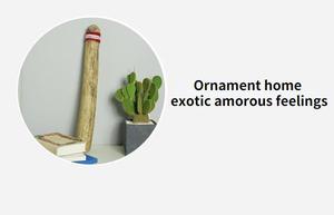Chile Cactus Wave Healing Instrument Rain Stick madera rainstick Rain Sticks Rainstick Niño Instrumentos musicales - Product Image 6